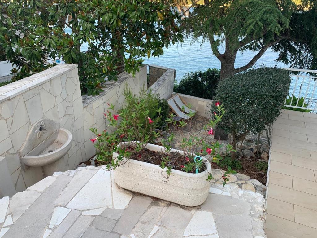 Studio Apartments More Korcula Bagian luar foto
